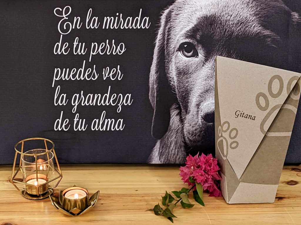 Urna de Infinito: Tanatorio Crematorio de Mascotas en Sevilla